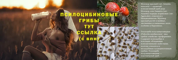 метамфетамин Белокуриха