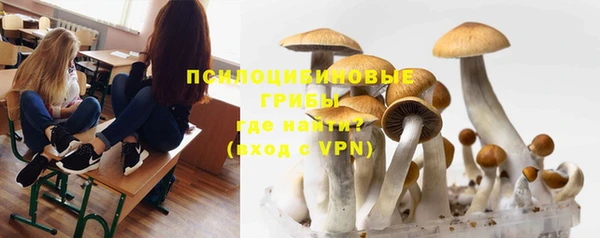 метамфетамин Белокуриха