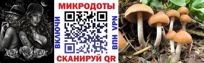 площадка наркотические препараты  Сочи  Галлюциногенные грибы MAGIC MUSHROOMS 